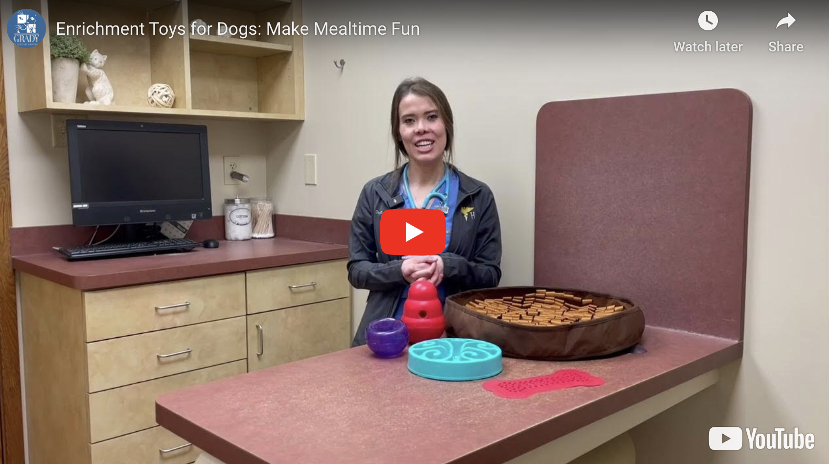 Enrichment Toys for Dogs: Make Mealtime Fun